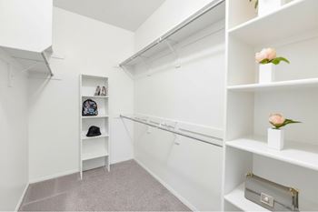 Walk-in closet with shelving and hanging rods
